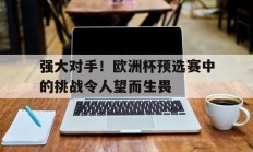 强大对手！欧洲杯预选赛中的挑战令人望而生畏