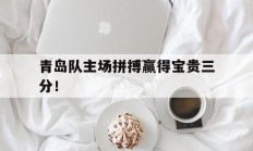 青岛队主场拼搏赢得宝贵三分！的简单介绍