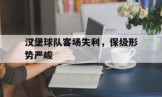 关于汉堡球队客场失利，保级形势严峻的信息