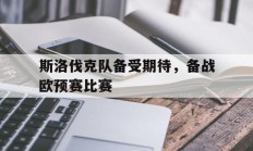 斯洛伐克队备受期待，备战欧预赛比赛的简单介绍