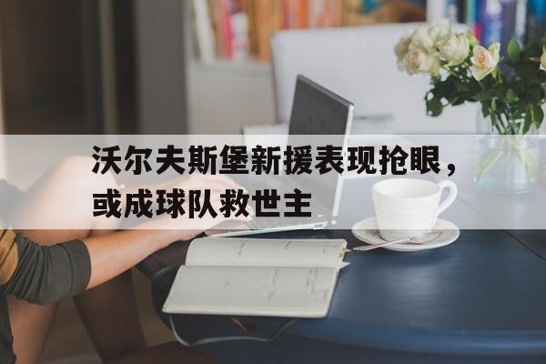 包含沃尔夫斯堡新援表现抢眼，或成球队救世主的词条